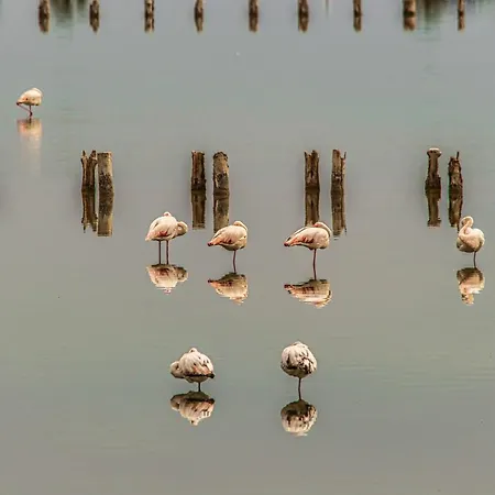 Chimbe - Loft Moderno A Un Passo Da Tutto 칼리아리
